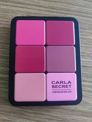 Shein - 12-Color Concealer & Blush Cream Palette