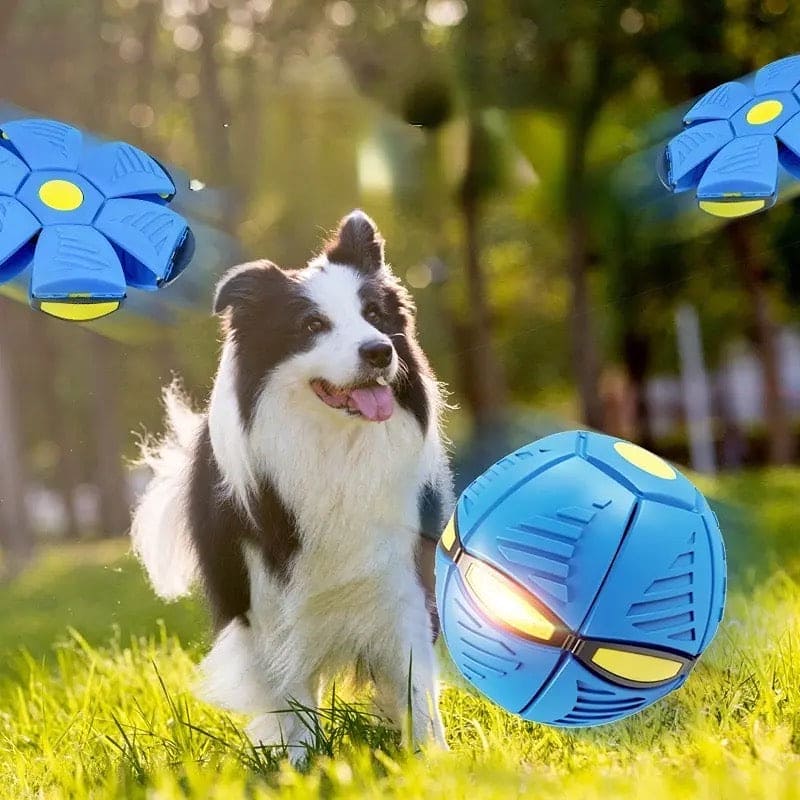 Magic Flying Saucer Ball, Outdoor Flat Throw Disc Ball, Foot Pressure Decompression Vent Ball, UFO Saucer Deformed Ball, Elastic Flying Saucer Toy for Kids, Frisbee Ball Dog Toy, Kids Playing Stomp Ball