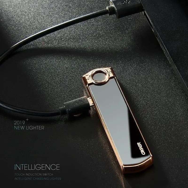 Mini Cigarette Lighter, USB Rechargeable Flameless Lighter, Smart Drop Down Electronic Lighter, Mini Coil Tungsten Lighter, Outdoor Portable Smoking Gadget, Windproof Pocket Lighter