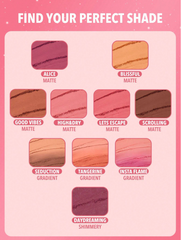 Shein - SHEGLAM Divine Flush Matte Blush Powder - Insta Flame