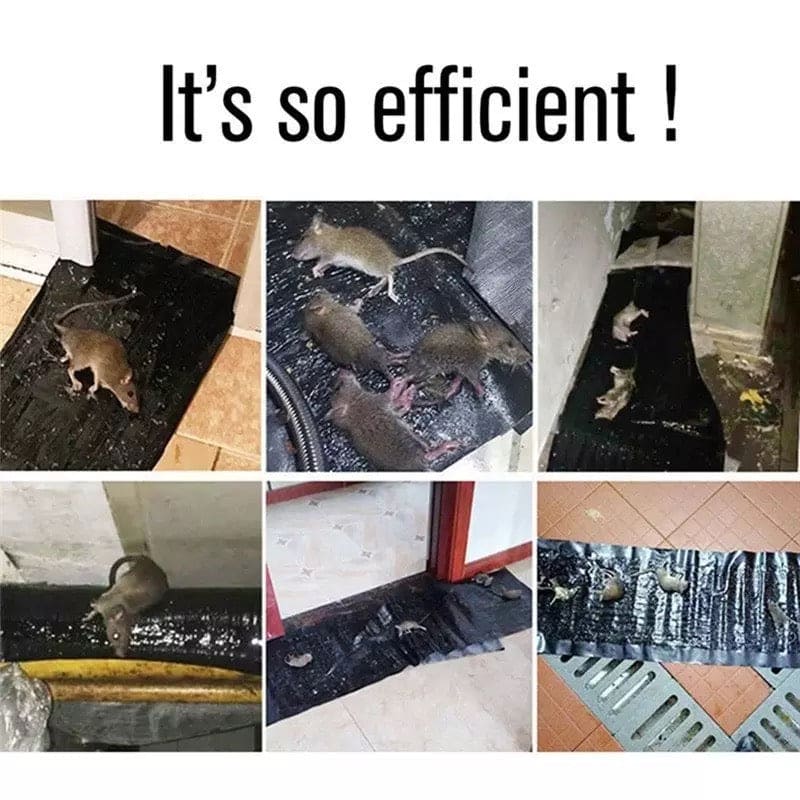 Sticky Rat Blanket, Super Glue Rat Magic Carpet, Large Size Rat Sticker, Household Insect Artifact, Mice Mouse Rodent Glue Traps Board, Mice Catcher Trap